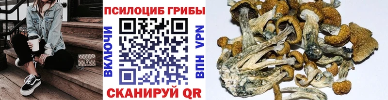 Галлюциногенные грибы MAGIC MUSHROOMS  Луга 